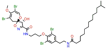 Ceratinamide B